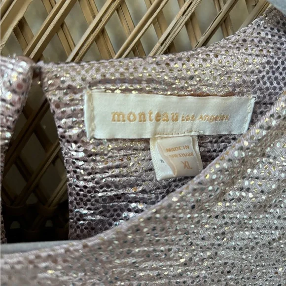 Monteau Shiny Silver Blouse - Picture 4 of 4